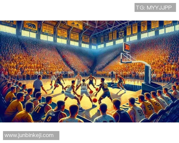 金满贯的辉煌历程与未来展望：探索体育界的传奇成就与影响力